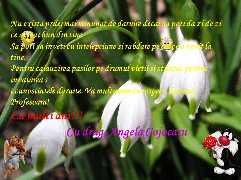 Nu exista prilej mai minunat de daruire decat sa poti da zi de zi